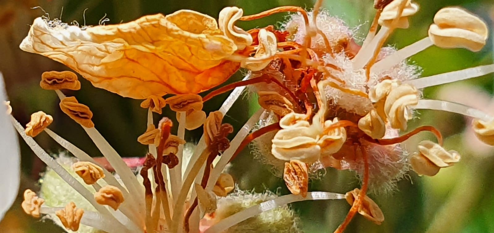De natuur als leermeester - foto Ceciel Fruijtier