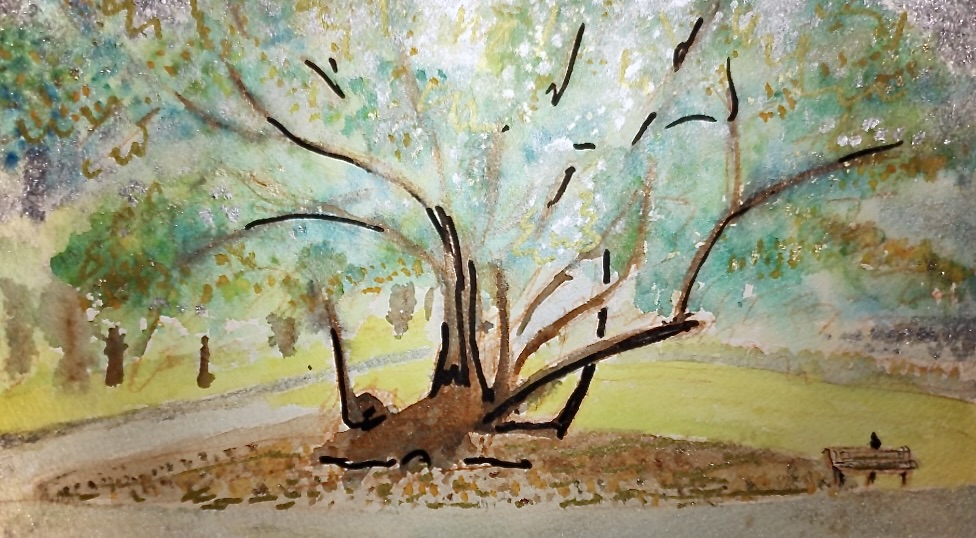 image4