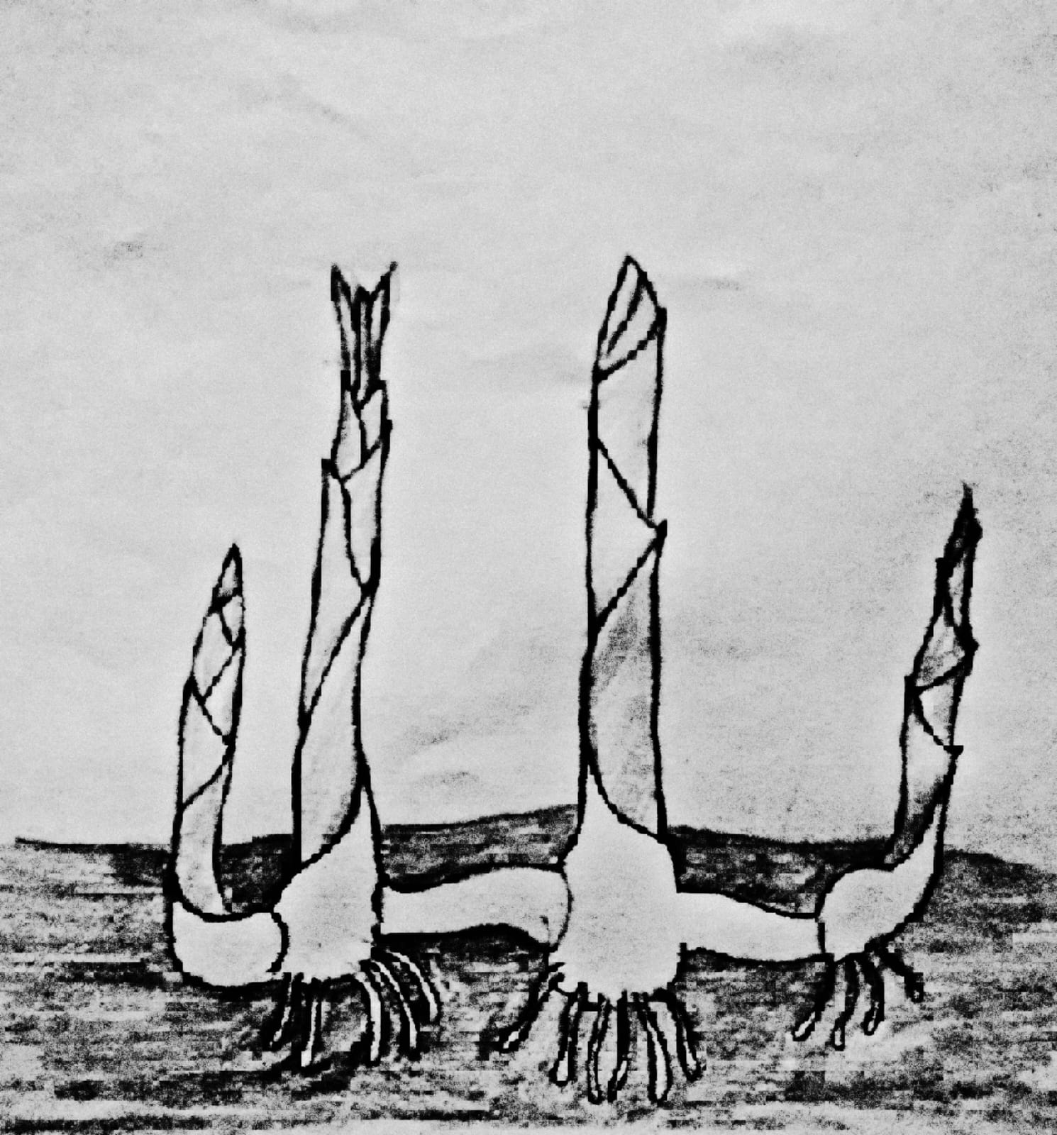 rizoom – drawing Yassine el Azabi