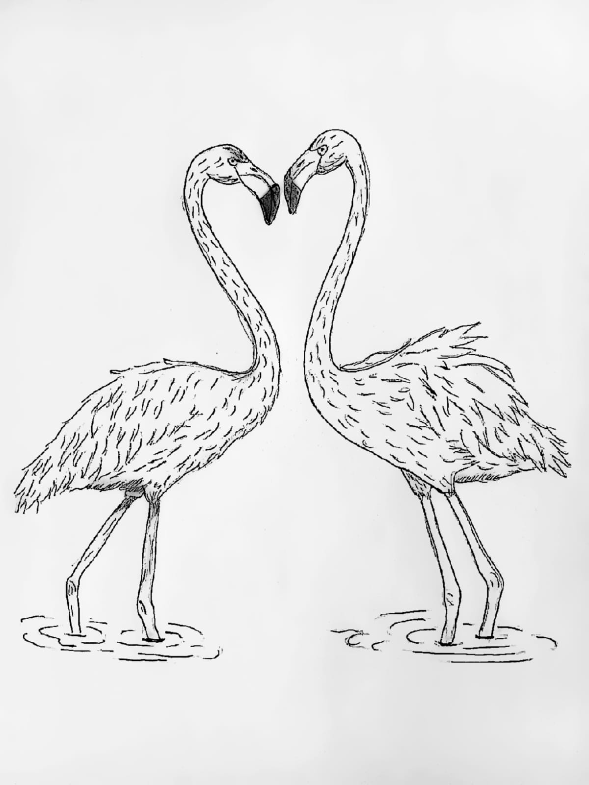 Flamingo – drawing Yassine el Azabi