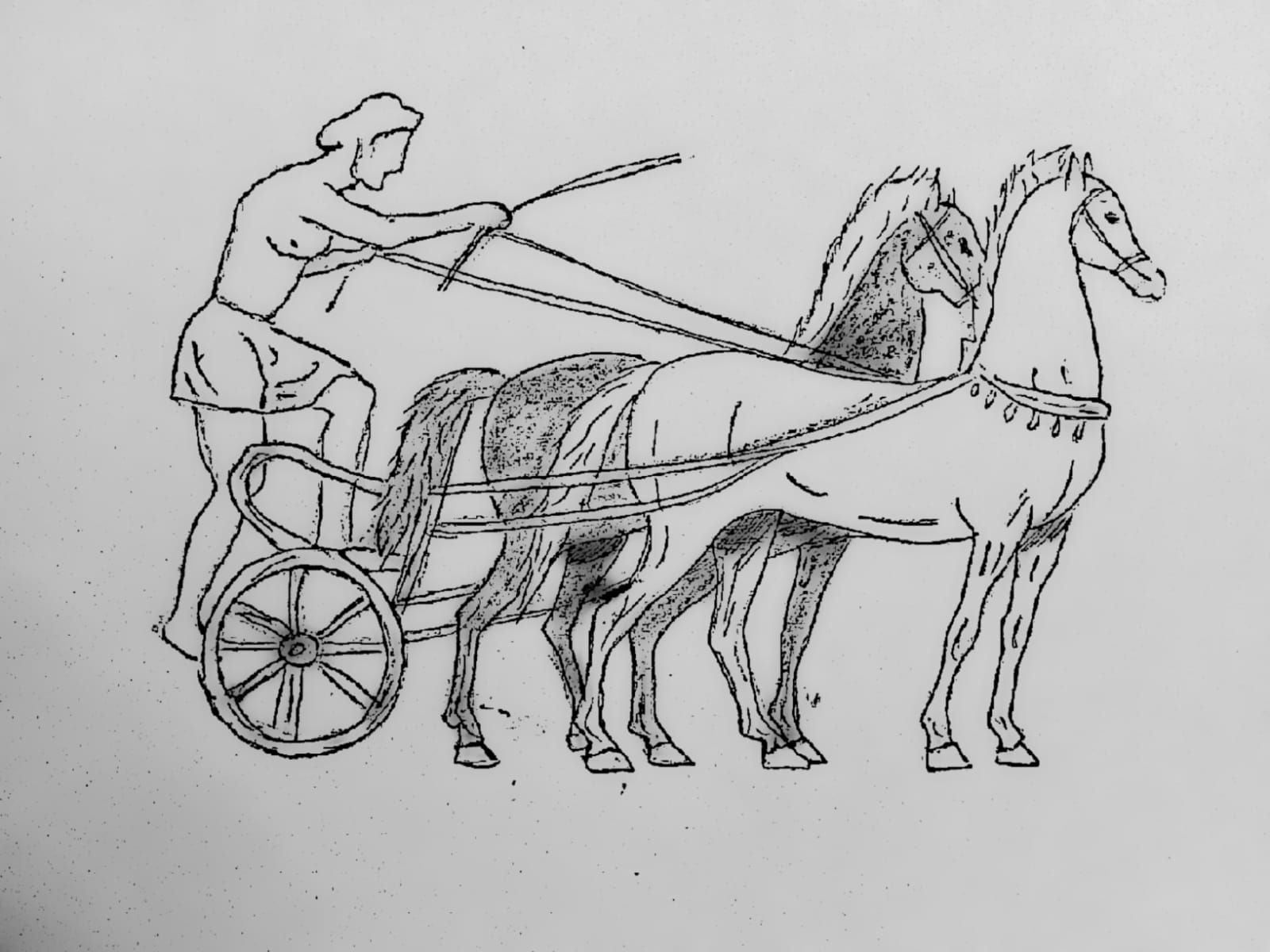 Chariot and two horses, symbol of the soul – drawing Yassine el Azabi